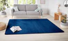 Nasty 104447 Dark Blue Rug Questions & Answers