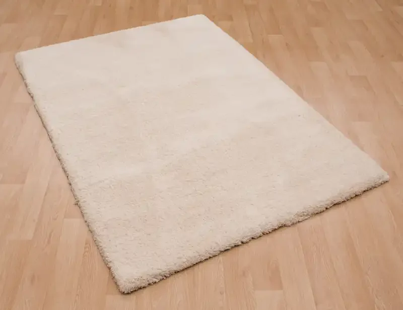 can this rug be put in washing machine